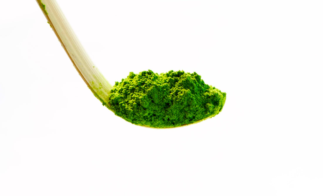 WHAT IS MATCHA?